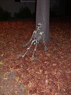 Front Tree Skeleton